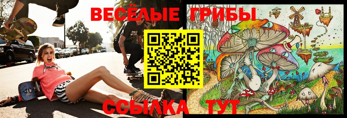 Галлюциногенные грибы ЛСД Саянск
